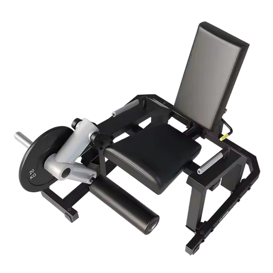 EXTENSIÓN DE PIERNA